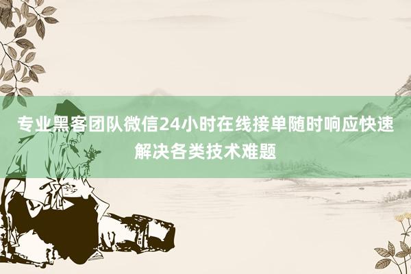 专业黑客团队微信24小时在线接单随时响应快速解决各类技术难题