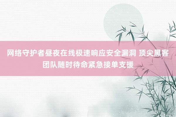 网络守护者昼夜在线极速响应安全漏洞 顶尖黑客团队随时待命紧急接单支援