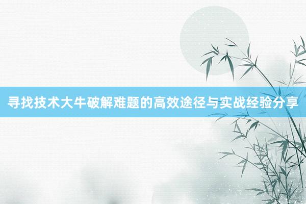 寻找技术大牛破解难题的高效途径与实战经验分享