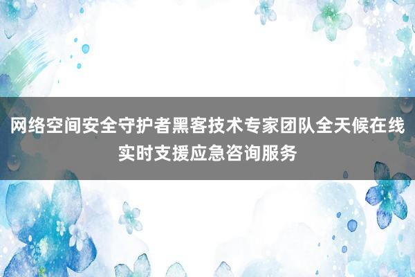 网络空间安全守护者黑客技术专家团队全天候在线实时支援应急咨询服务
