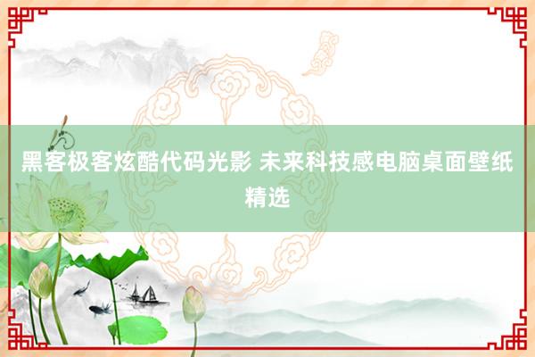 黑客极客炫酷代码光影 未来科技感电脑桌面壁纸精选