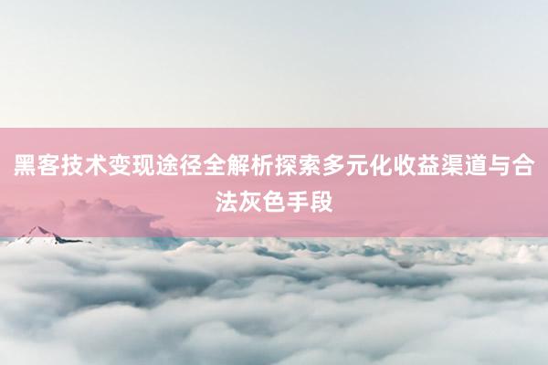 黑客技术变现途径全解析探索多元化收益渠道与合法灰色手段